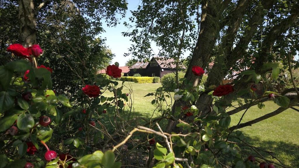 דירות Owls Nest - Peace And Tranquility Near Woodbridge & Framlingham In Rural Suffolk מראה חיצוני תמונה