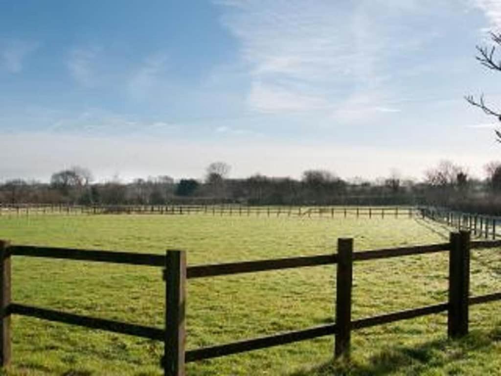 דירות Owls Nest - Peace And Tranquility Near Woodbridge & Framlingham In Rural Suffolk מראה חיצוני תמונה